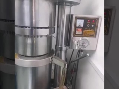 พิมพ์น้ํามันเนยโคกาว โดยเครื่องล้างน้ํามันไฮดรอลิกของเลวิน