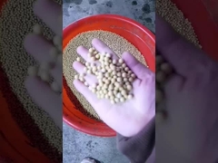 เครื่องบดน้ํามันถั่วโซยา